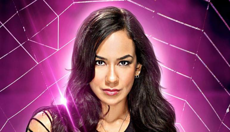 AJ Lee Height, Weight, Body Measurements, Bra Size, Shoe Size