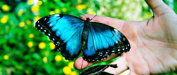 The 10 Best Short Moral Stories With Valuable Lessons